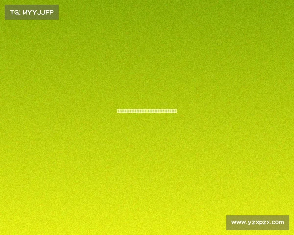 深度解析山东泰山外援表现 揭示梅雷加真实实力与潜力